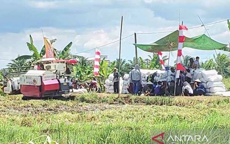Petani Kalteng Akui HPP Gabah Berdampak Signifikan Bagi Pendapatan