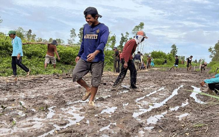 Kepala Desa Paduran Mulya Harapkan Perbaikan Bahu Jalan Bisa Merata