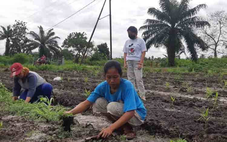 Dewan Dorong Pemberdayaan Teknologi Tepat Guna untuk Pertanian Masyarakat