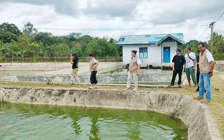 Stok Melimpah, Dinas Perikanan Bartim Tawarkan Benih Patin dan Nila Berkualitas dengan Harga Terjangkau
