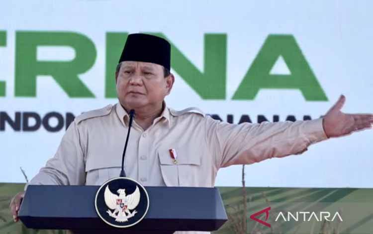 Presiden Izinkan Ekspor Beras ke Beberapa Negara