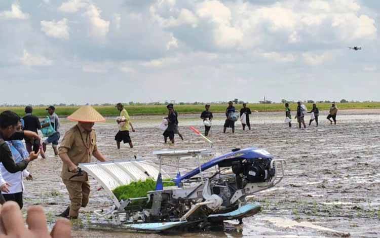 Gubernur Kalimantan Tengah, Agustiar Sabran membajak sawah saat tanam padi serentak di Desa Lampuyang, Kecamatan Teluk Sampit, Kabupaten Kotawaringin Timur, Rabu, 23 April 2025. (FOTO: Diskominfo Kotim)