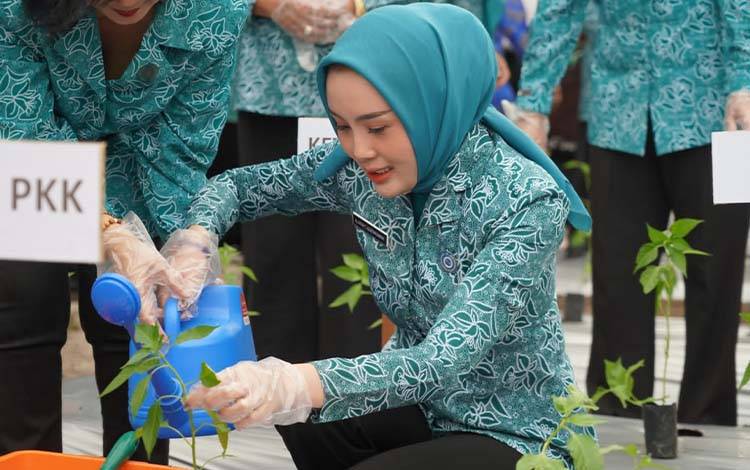 TP PKK Kalteng Dorong Pemanfaatan Pekarangan Perkuat Ketahanan Pangan Keluarga