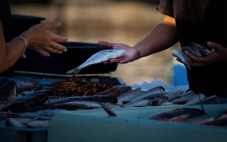 Dislutkan Kalteng Dorong Pengembangan Sentra Perikanan Terpadu