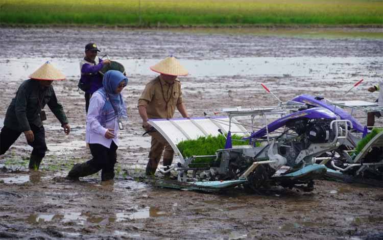 Agustiar Sabran Ingatkan Bertani Sebagai Pekerjaan Mulia