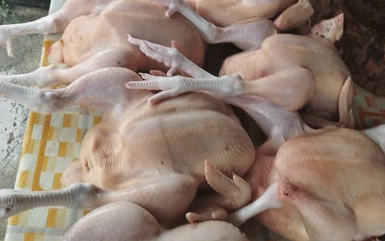 Dewan Minta Pemko Palangka Raya Perhatikan Kesehatan Ternak Demi Stabilitas Harga di Pasaran