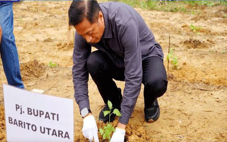 Pj Bupati Barut Ajak Masyarakat Tanam Cabe dan Komoditas Pangan
