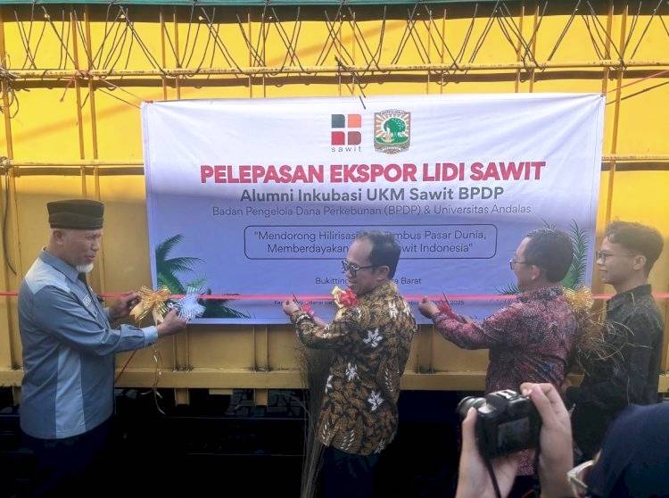 Ekspor Lidi Sawit ke India dan Nepal, Bukti Pemanfaatan Limbah Sawit yang Menguntungkan