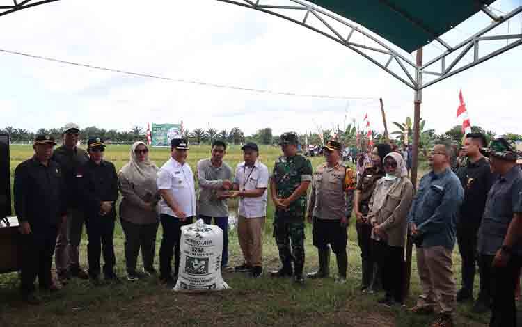 Musim Hujan Menjadi Kendala Penyerapan Gabah