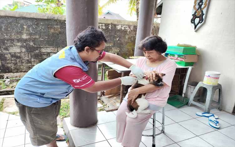 Kasus Rabies Kembali Terjadi di Kalteng, Ini Penyebabnya