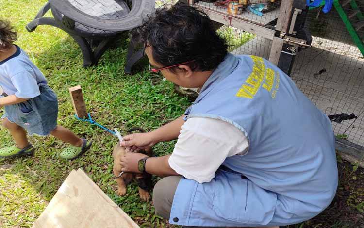 Ketua PDHI Kalteng Bagikan Tips Mengenali Gejala Rabies pada Hewan