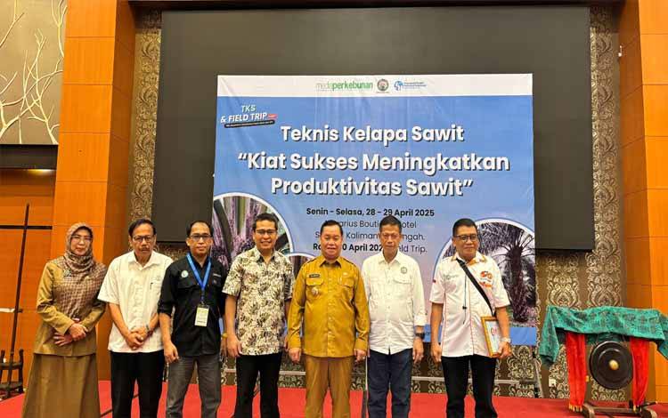 Replanting Kelapa Sawit Tidak Hanya Bagi Pohon Tua Tapi yang Produksinya Menurun