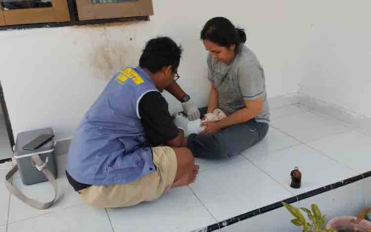 Edukasi Dinilai Penting dalam Mengatasi Ancaman Rabies