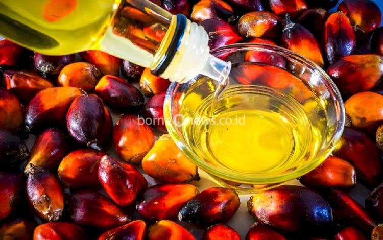 Indonesia Berpeluang Jadi Produsen Terbesar Produk Hilir Sawit