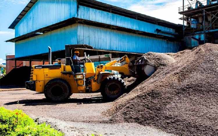 Kelapa Sawit, Komoditas Nihil Limbah dengan Nilai Ekonomi Tinggi