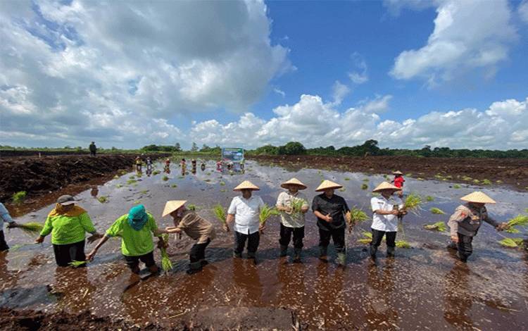 Kotim Lakukan Cetak Sawah Perdana
