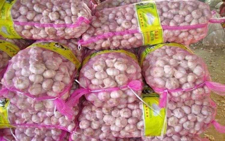 Dewan Dorong Peningkatan Produksi Bawang Putih Lokal di Palangka Raya