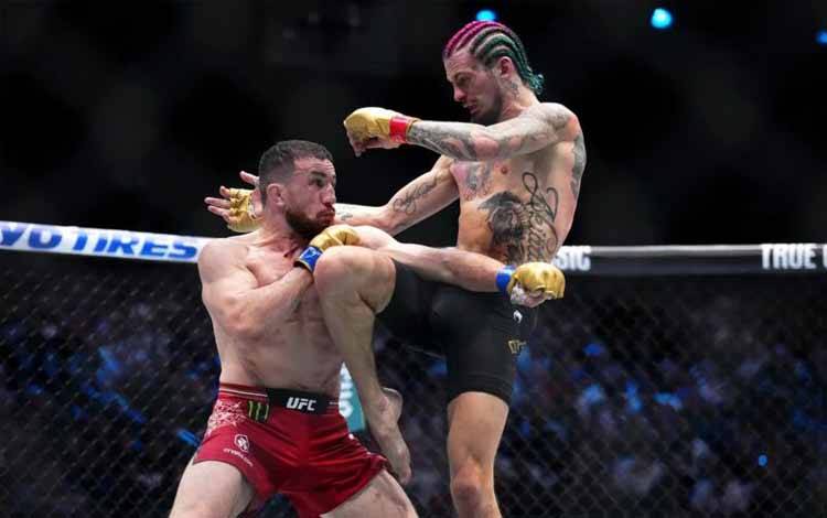 UFC Rilis Poster UFC 316 yang Menampilkan 2 Laga Perebutan Gelar