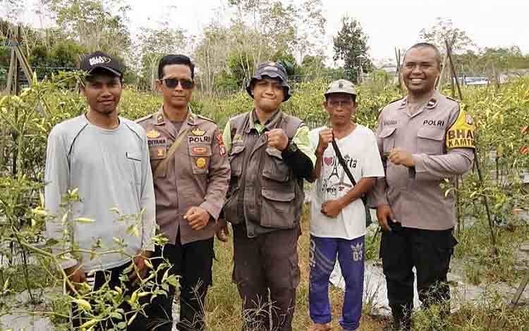 BPP Paju Epat Gelar Koordinasi Luas Tambah Tanam Komoditas Cabai