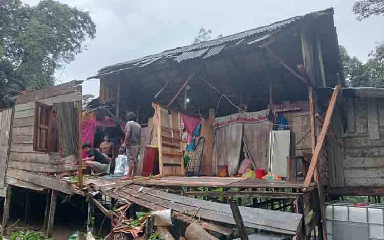 Rumah Warga Desa Lalap Barito Timur Tertimpa Pohon Tumbang, Kerugian Sekitar Rp35 Juta