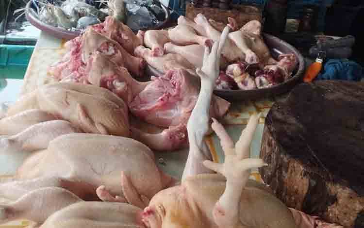 Ayam Potong Punya Nilai Ekonomis Tinggi, Palangka Raya Harus Mandiri dalam Produksi