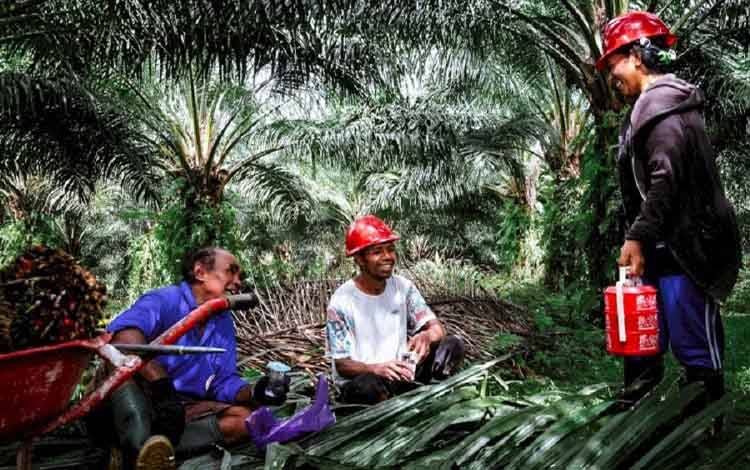 Industri Perkebunan Kelapa Sawit Berkontribusi Besar dalam Penyerapan Tenaga Kerja