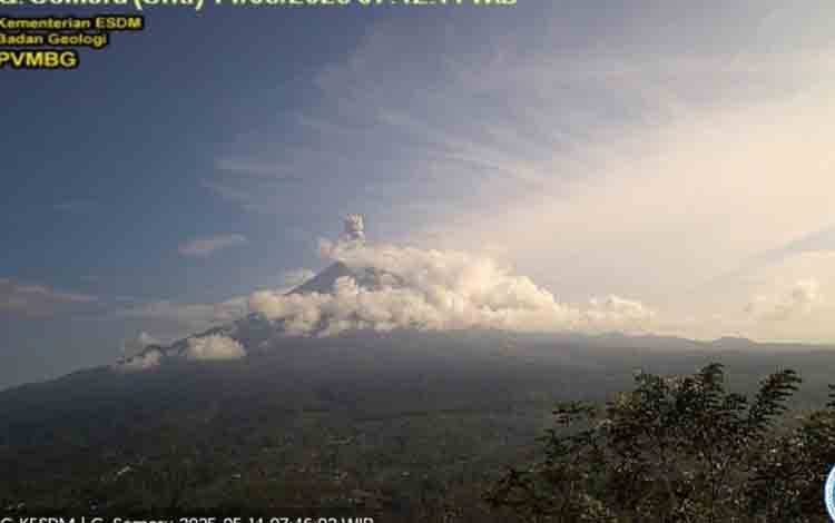 Gunung Semeru erupsi dengan letusan setinggi 1.000 meter di atas puncak pada Rabu (14/5/2025) pagi. ANTARA/HO-PVMBG