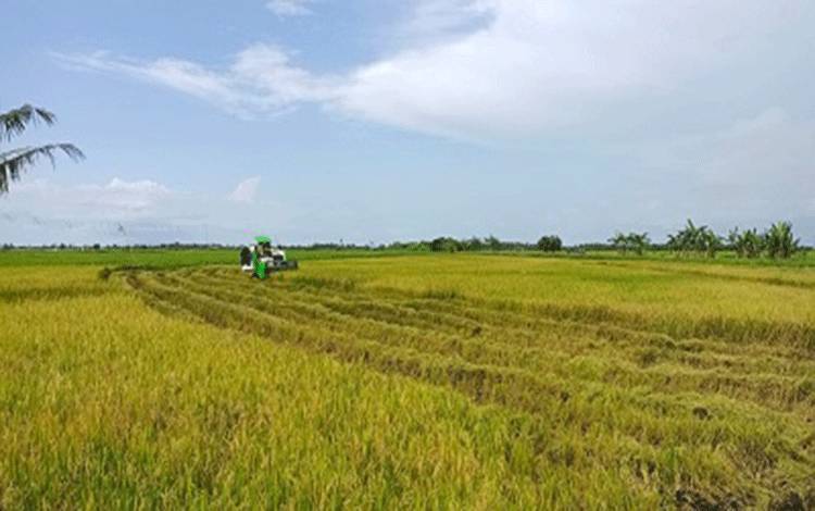 Program Cetak Sawah Jangkau 6 Wilayah Kecamatan di Seruyan