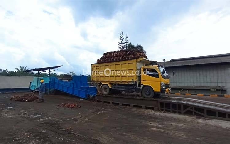 Perusahaan Sawit Komitmen Lindungi Hak Pekerja Perempuan, Tingkatkan Kepuasan Kerja