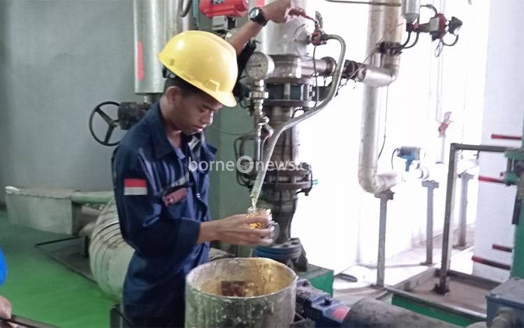 Pekerja di pabrik minyak kelapa sawit yang ada di Pangkalan Bun, Kalimantan Tengah. (FOTO: TESTI PRISCILLA)