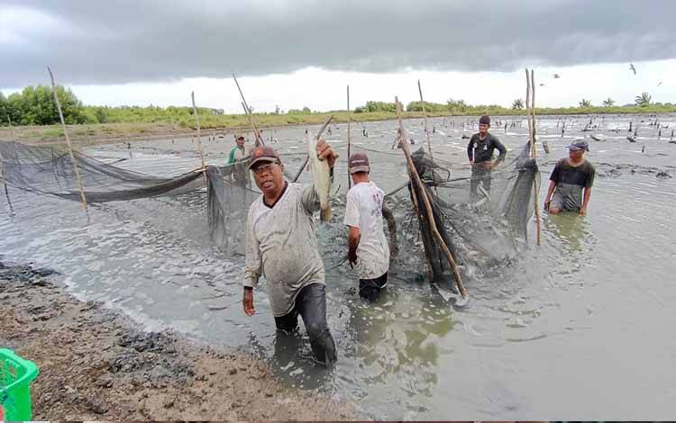 Desa Sungai Undang, Seruyan: Surga Budidaya Ikan Bandeng di Pesisir Kuala Pembuang