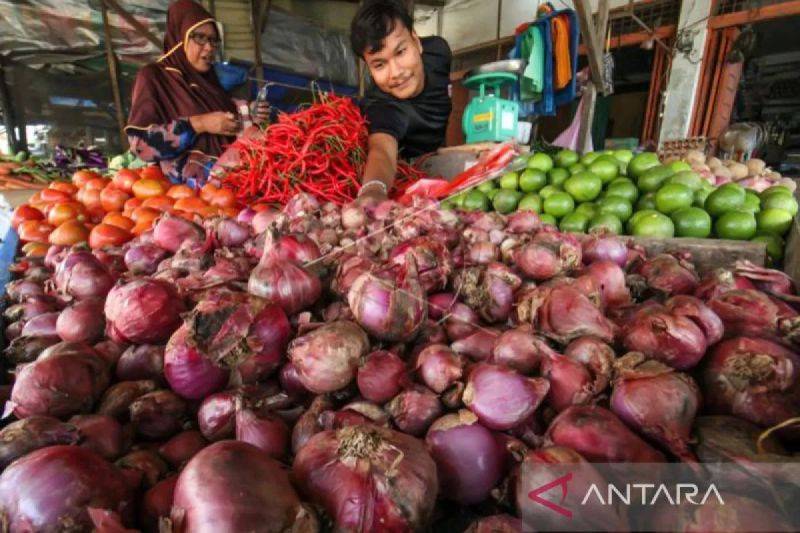 Selain Ayam Ras dan Wortel, Harga Komoditas di Kobar Stabil