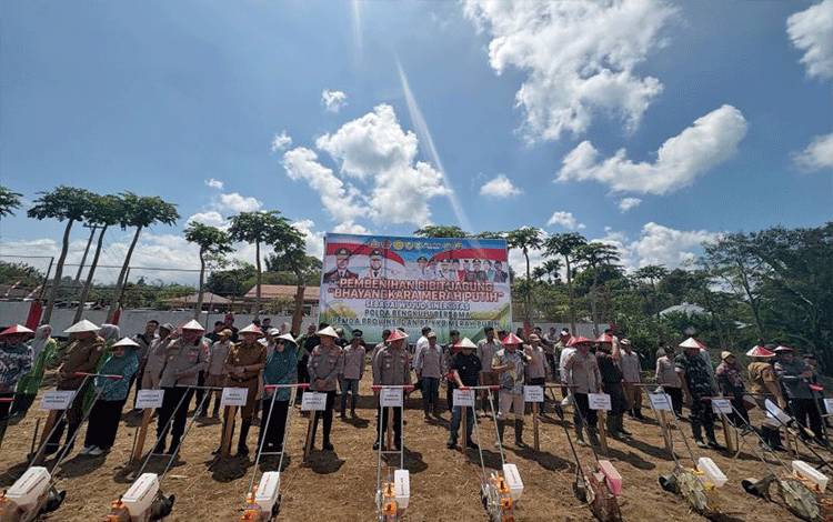 Program pembibitan komoditas jagung "Pembenihan Jagung Merah Putih" sebagai persiapan peningkatan produktifitas dan ketahanan pangan. (ANTARA/HO-Dokumen Pribadi)