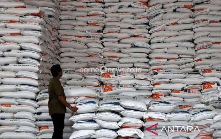 Mentan Amran: Jepang krisis, Indonesia Kokoh dengan Produksi Beras