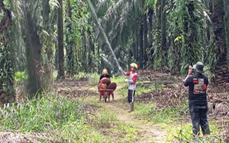BPDP Gelar Bimbingan Teknis untuk Optimalisasi Pelatihan SDM Perkebunan Kelapa Sawit