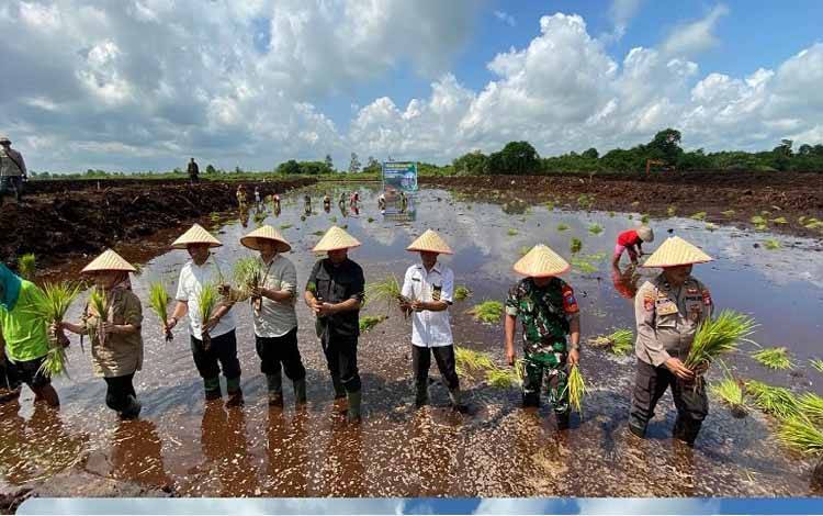 Bantuan Pemerintah Pusat Dorong Produksi Pertanian Kotawaringin Timur Meningkat