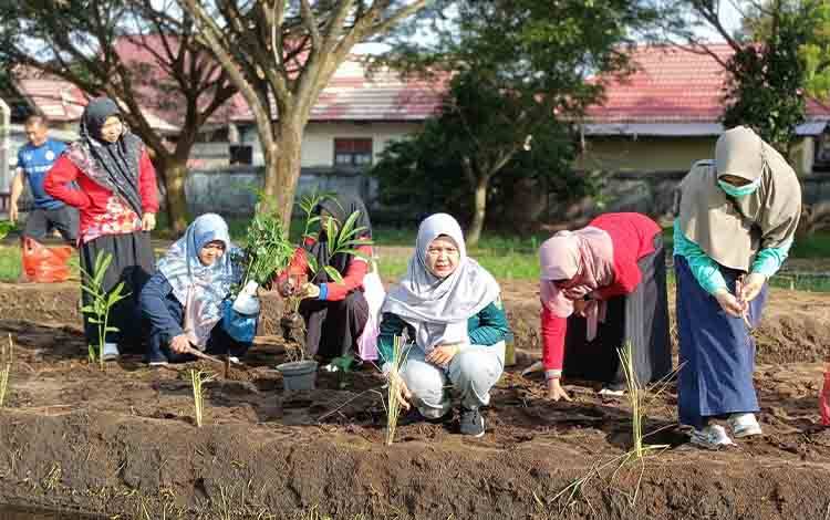 Dinas Kesehatan Seruyan Gelar Gerakan Bertanam Bersama Tanaman Obat Keluarga