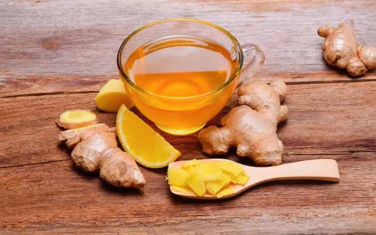 Jamu Bermanfaat sebagai Penyeimbang Sistem Tubuh