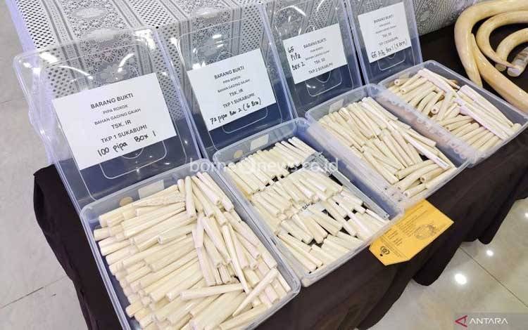 Bareskrim Polri Tangkap Sindikat Penjual Gading Gajah Ilegal