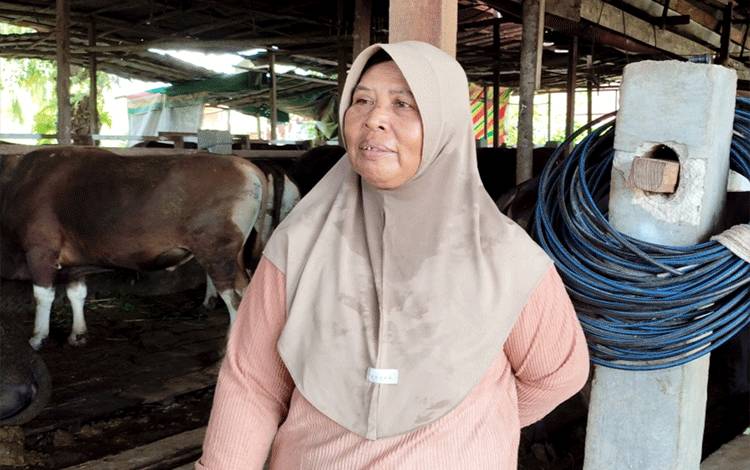 Peternak Lebih Pilih Kambing Peranakan Lokal Daripada Didatangkan dari Luar Pulau