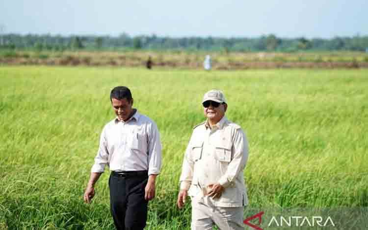 Prabowo Cetak Sejarah, Beras Cadangan Nasional 4 Juta Ton
