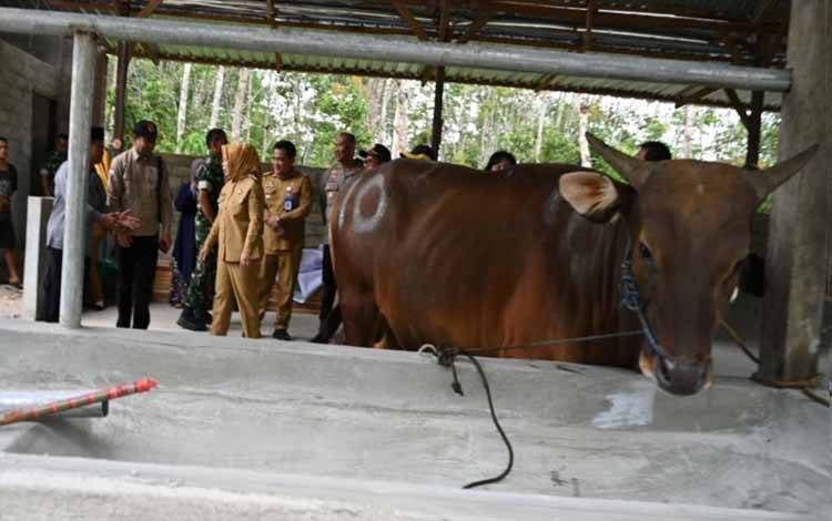 Bupati Kobar Umbau Kurangi Plastik Saat Iduladha, Panitia Kurban Diminta Gunakan Kemasan Ramah Lingkungan
