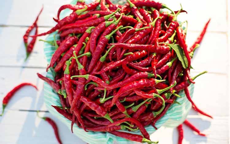 Harga Cabai, Bawang Merah, dan Daging Ayam Turun, Emas Naik di Pangkalan Bun