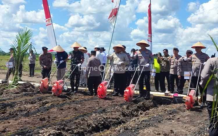 CBI Group Dorong Produktivitas Pertanian Lewat Panen Jagung di Pulang Pisau