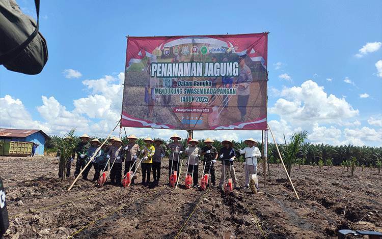 Panen Raya Jagung Serentak Kuartal II-2025, Wujud Komitmen Ketahanan Pangan Nasional