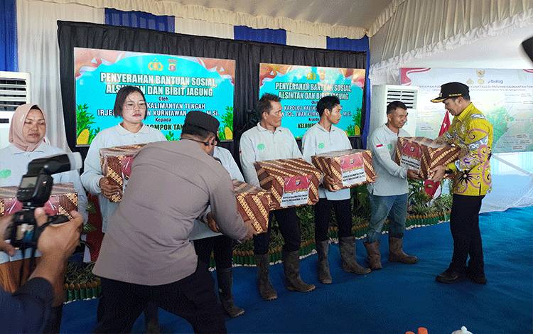 Pemprov Kalteng Perkuat Swasembada Pangan, Wagub Hadiri Panen Raya Jagung