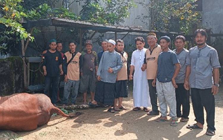 Warga Gunung Mas Berterima Kasih atas Bantuan Sapi dari Pemprov Kalteng