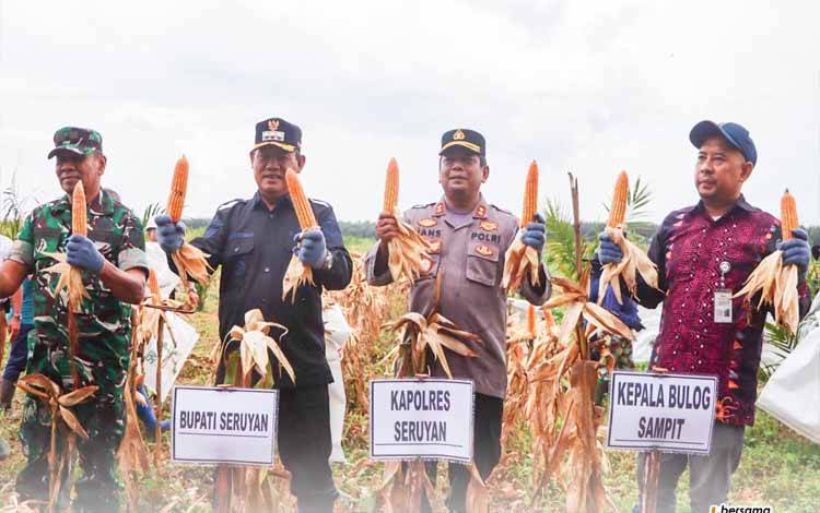 Bupati Seruyan Hadiri Panen Raya Jagung Kuartal II Tahun 2025