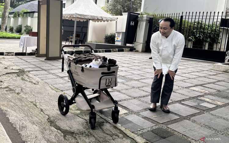 Gaya Bobby Kertanegara Pakai Koko Putih saat Idul Adha