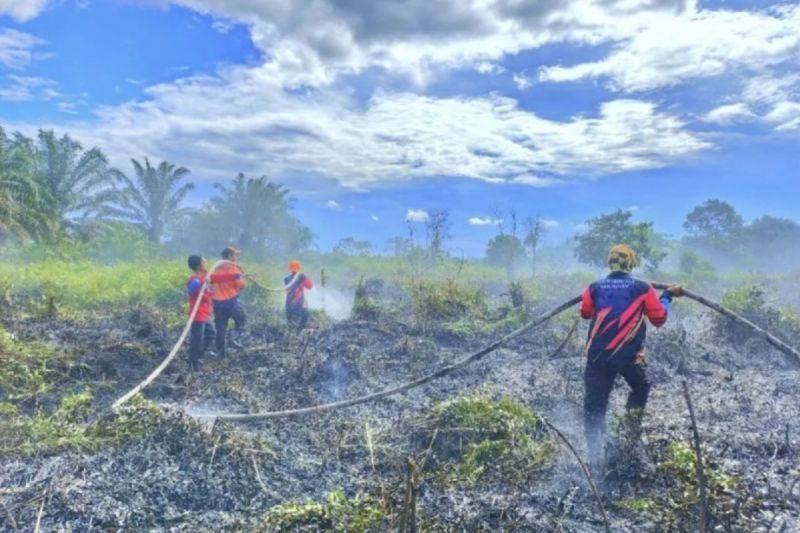 Petugas berupaya memadamkan kebakaran lahan gambut di Jalan HM Arsyad Desa Eka Bahurui Jalur 4, Kamis (5/6/2025). ANTARA/HO-BPBD Kotim
